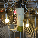 108_8670_jpg-1300529830