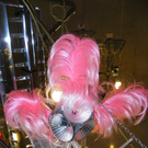 108_8674_jpg-1300529850