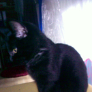 160820101975_jpg-1300531043