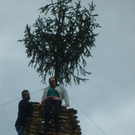 S5000207.jpg
