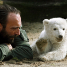 Eisbär Knut ist tot 