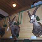 100_4936.JPG