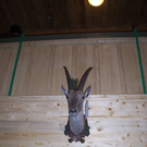 100_4937.JPG
