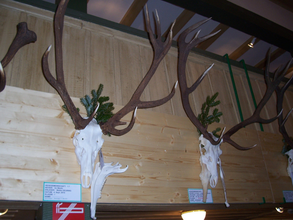 100_4940.JPG