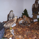 100_4953.JPG