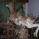 100_4954.JPG