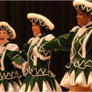 20110319_landesgardegala_103_luc.JPG