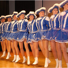 20110319_landesgardegala_106_luc.JPG