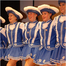 20110319_landesgardegala_110_luc.JPG