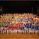 20110319_landesgardegala_112_luc.JPG
