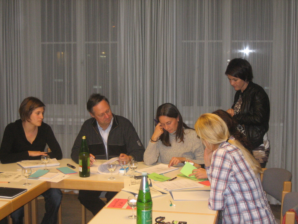 Familie Audit Workschop 2011 _11__jpg-1300631748