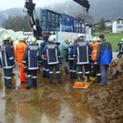 110319 Tierrrettung Kuehe_02.jpg