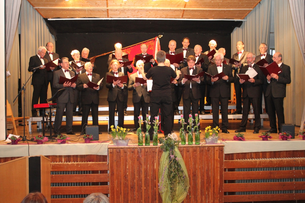 Gemeinschaftskonzert 20-03-2011 _34__jpg-1300652442
