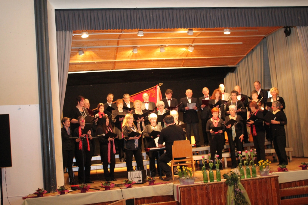 Gemeinschaftskonzert 20-03-2011 _50__jpg-1300652631