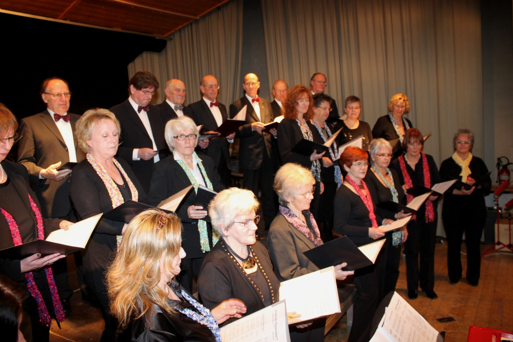 Gemeinschaftskonzert 20-03-2011 _48__jpg-1300652600