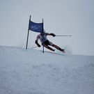 ÖM Shortcarving