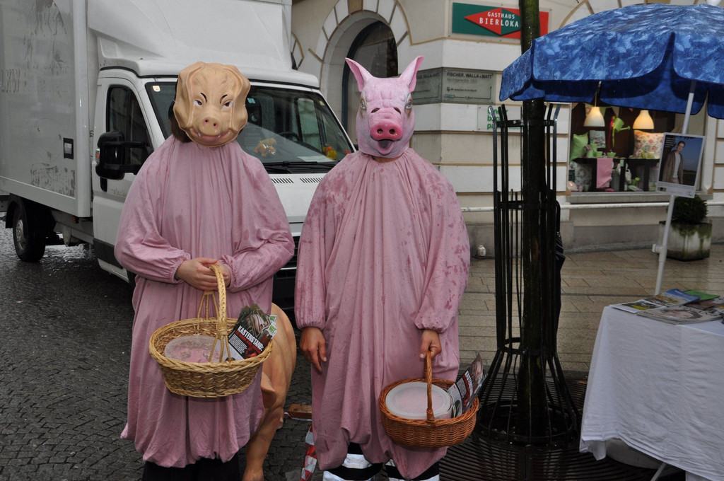 DSC_0169.JPG