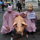 DSC_0233.JPG