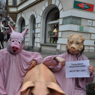 DSC_0237.JPG