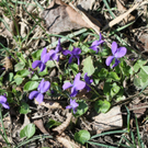 IMG_7365.jpg