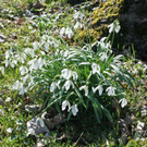 IMG_7364.jpg