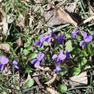 IMG_7366.jpg