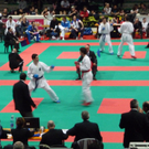 P1040777.JPG