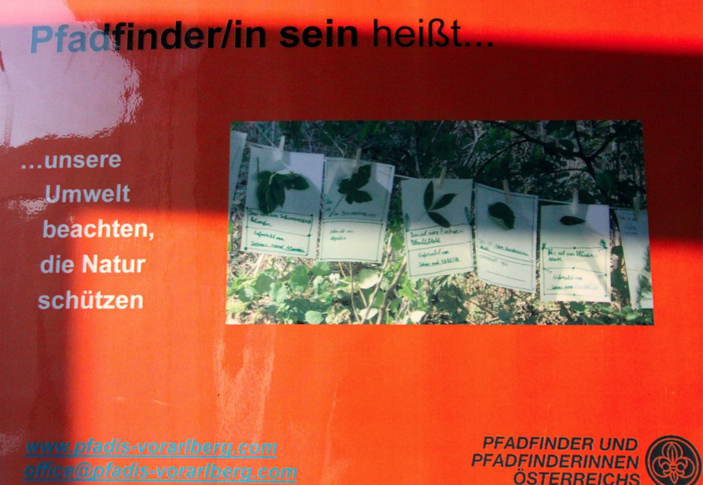 KOE_Pfadfinderheim Rankweil 39_jpg-1300742767