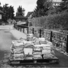 papiersammeln_jpg-1300742797