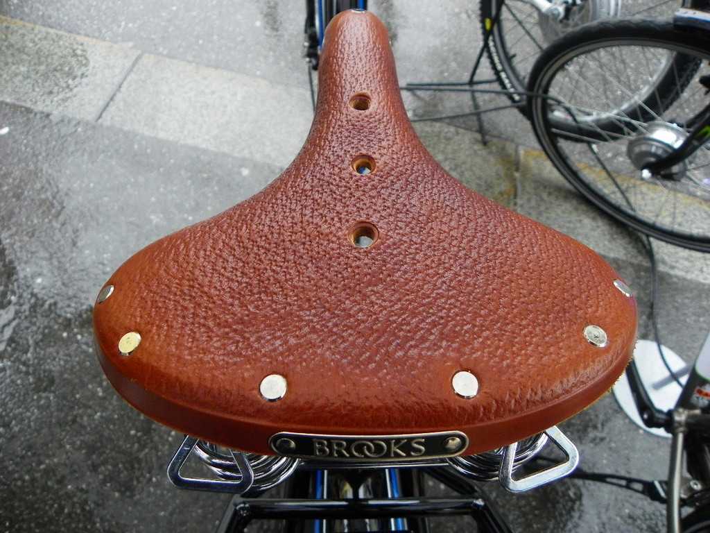 109_8302_JPG-1300754868