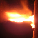 DSCN1096.JPG