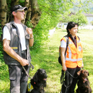 Berg3aHunde_jpg-1300795808
