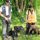 Berg3Hunde_jpg-1300795982