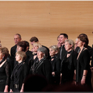 chf 153.jpg