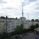 IMG_9740.jpg
