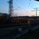 22032011137.JPG