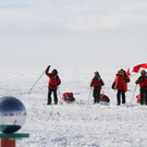 orf_kubak_20110323114941.jpg