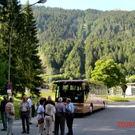 CIMG2403.jpg