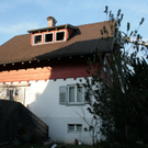 IMG_9950.jpg