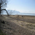 IMG_6684 _Large__JPG-1300919796
