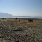 IMG_6685 _Large__JPG-1300919828