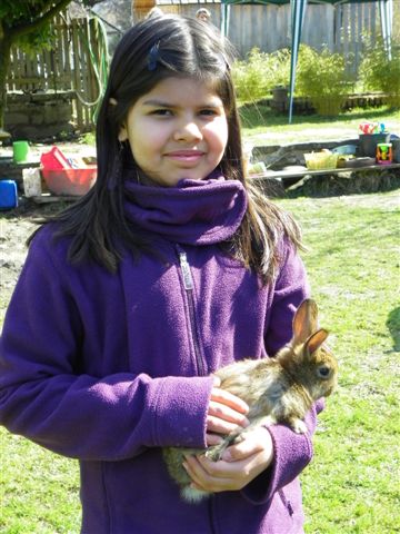 109_8682_JPG-1300923883