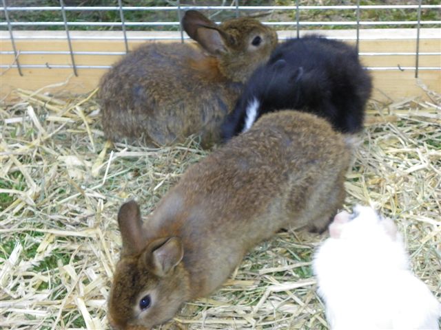 109_8689_JPG-1300923886