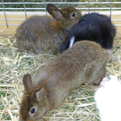 109_8689_JPG-1300923886