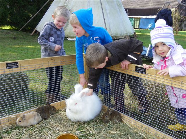 109_8691_JPG-1300923888