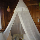 109_8709_JPG-1300923902