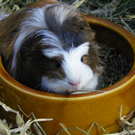 109_8650_JPG-1300923934