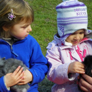 109_8653_JPG-1300923936