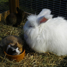 109_8659_JPG-1300923939