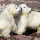 ABD0046-20110323.jpg